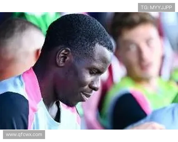 ✅体育直播🏆世界杯直播🏀NBA直播⚽- 【人与自然和谐相处的温暖瞬间】给鸟儿颁发“护照”- sports